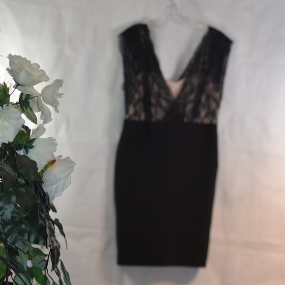Body Con Lace Stretch Dress SZ XL Suzy Shier - Picture 2 of 6